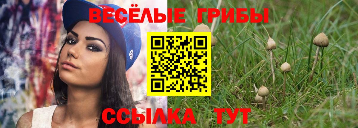 Орёл  Галлюциногенные грибы GOLDEN TEACHER  Вход с VPN 