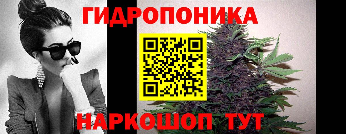 Бошки марихуана марихуана  Вход с VPN  Шишки марихуана VHQ  Орёл 
